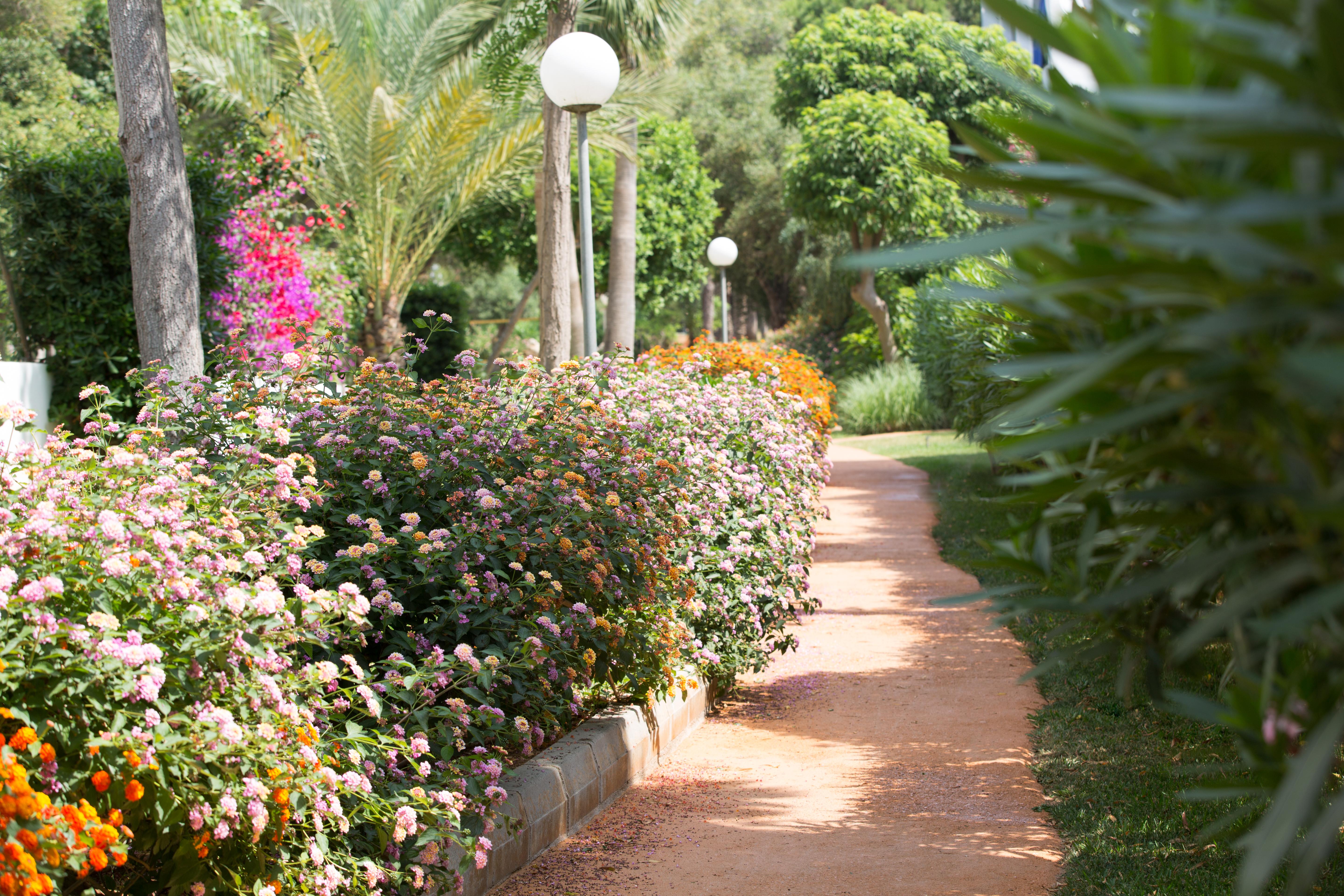 Gavimar Cala Gran And Hotel Cala D´Or
